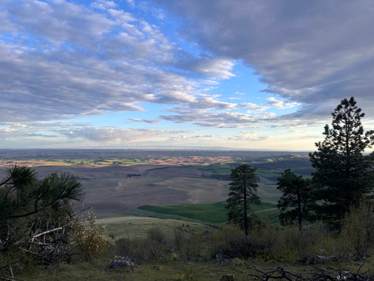 Kamiak Butte County Park