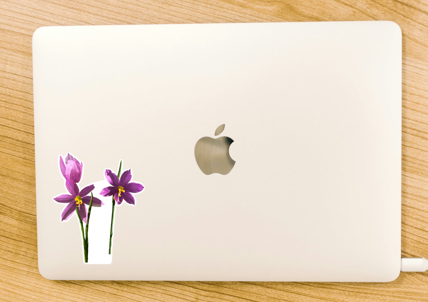 Grass Widow Sticker