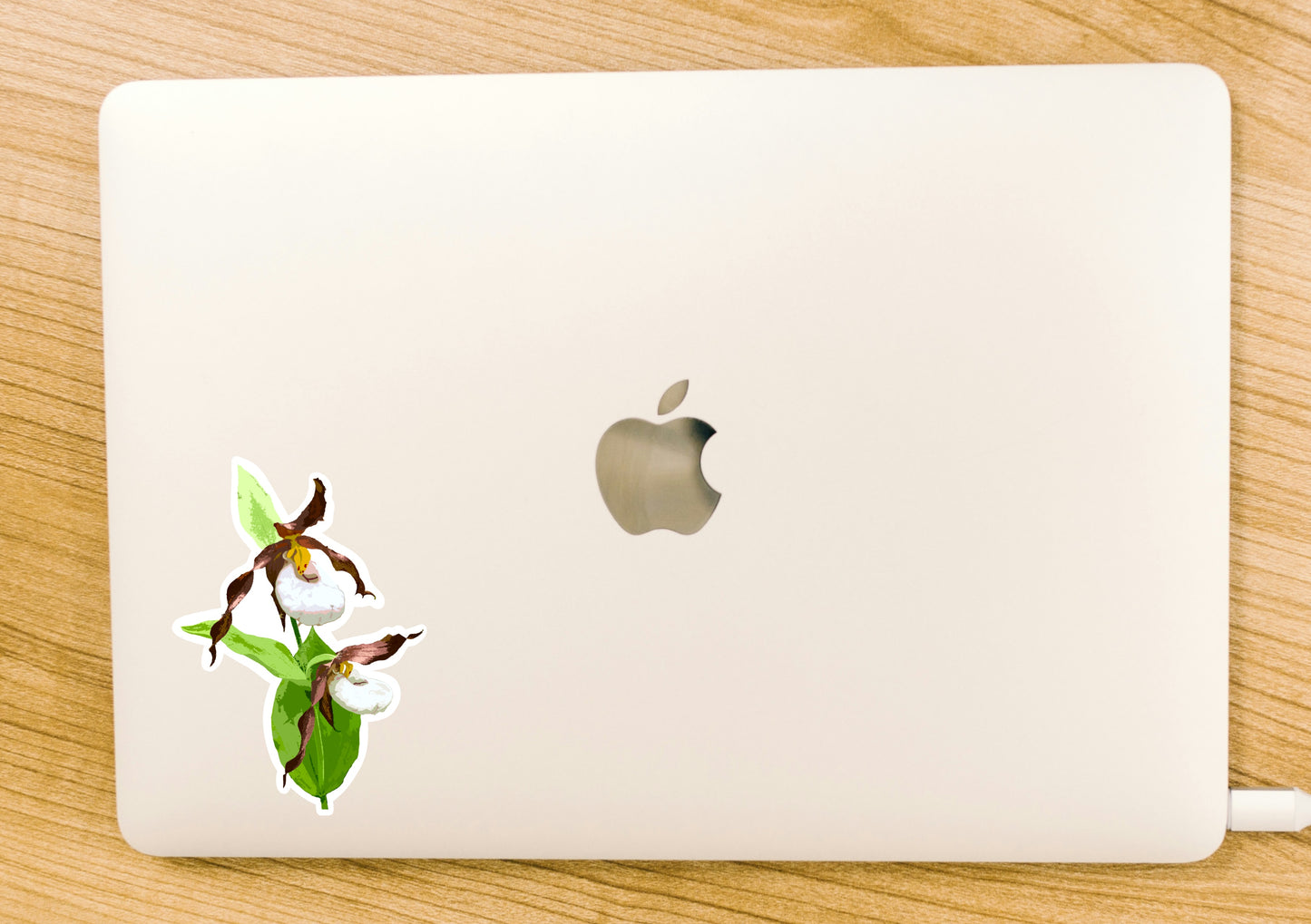 Lady's Slipper Sticker