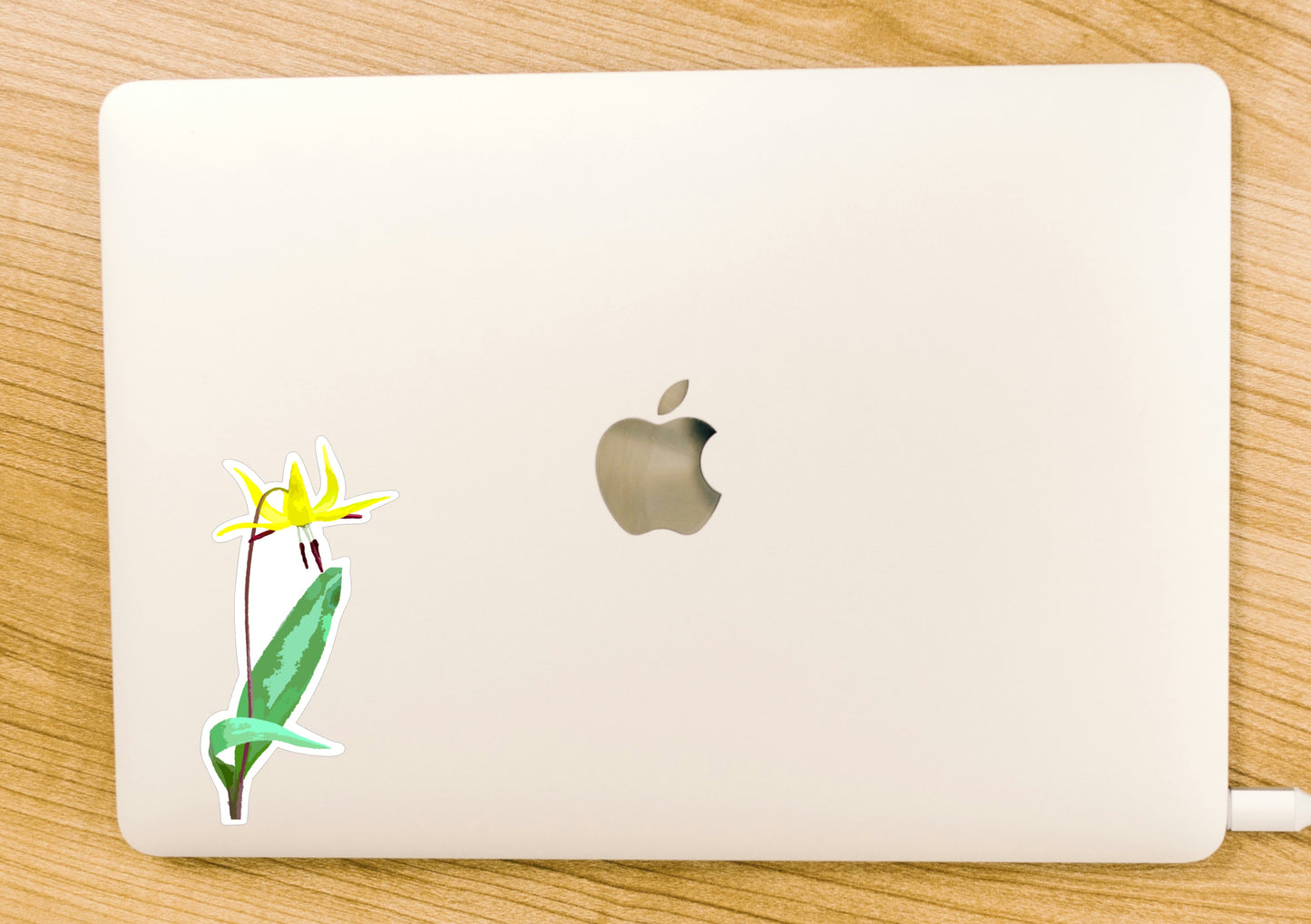 Glacier Lily Sticker