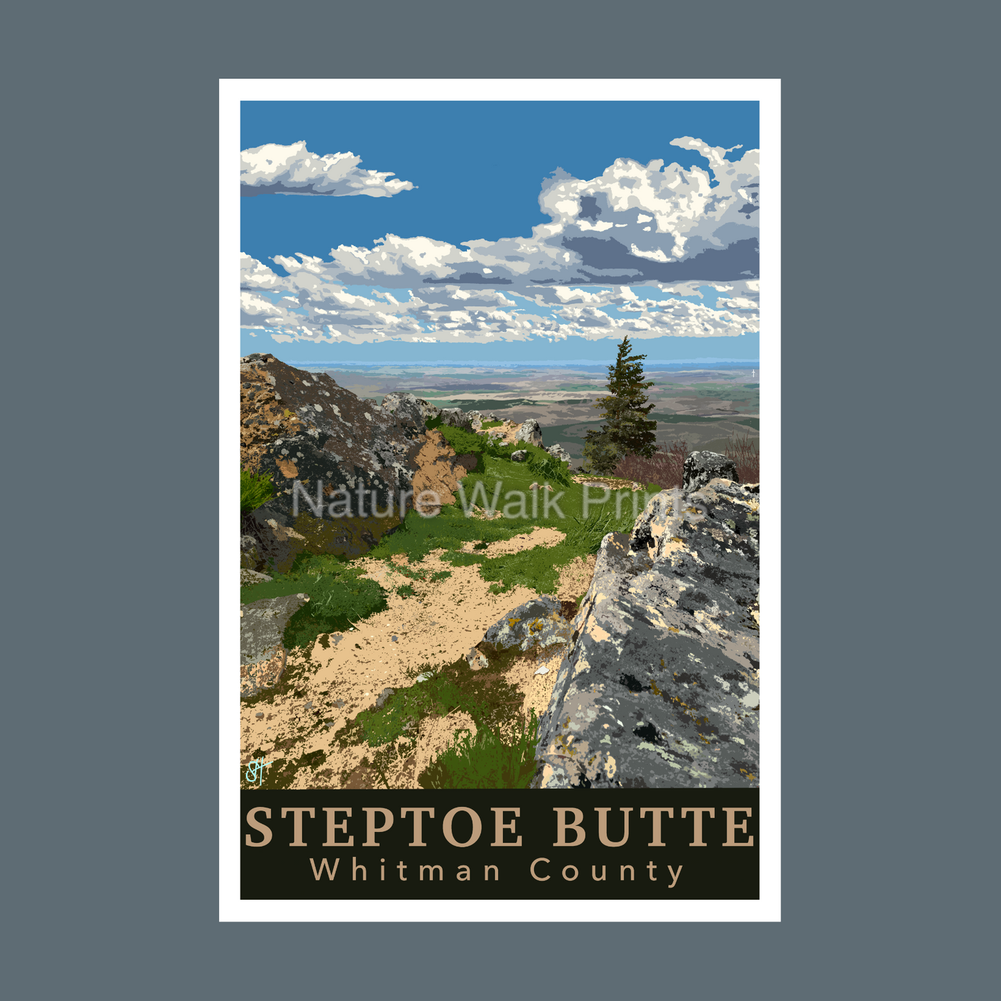 Steptoe Landscape Postcard