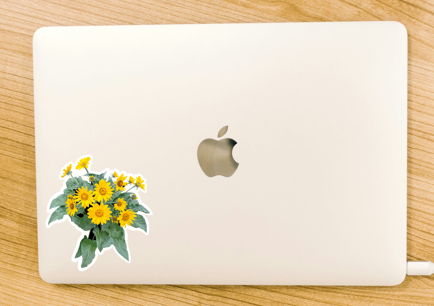 Balsam Root Sticker