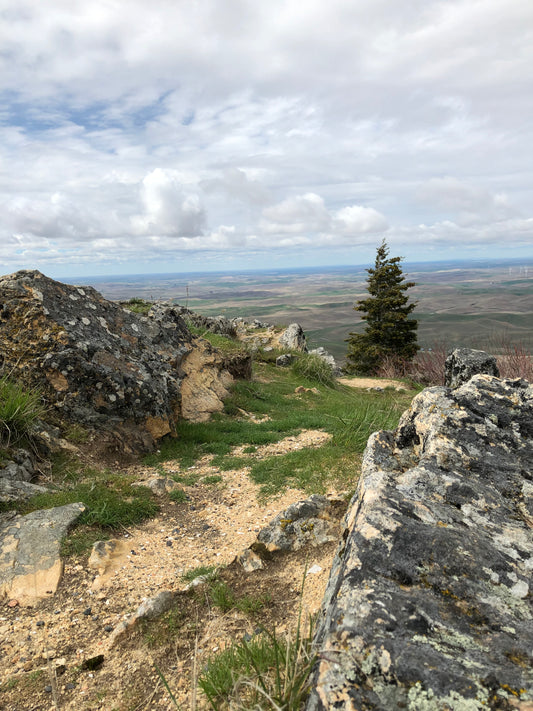 Steptoe Butte State Park Heritage Site