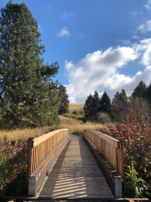 Rose Creek Nature Preserve