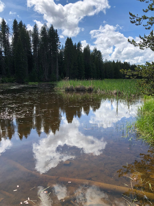 Moose Creek Reservior