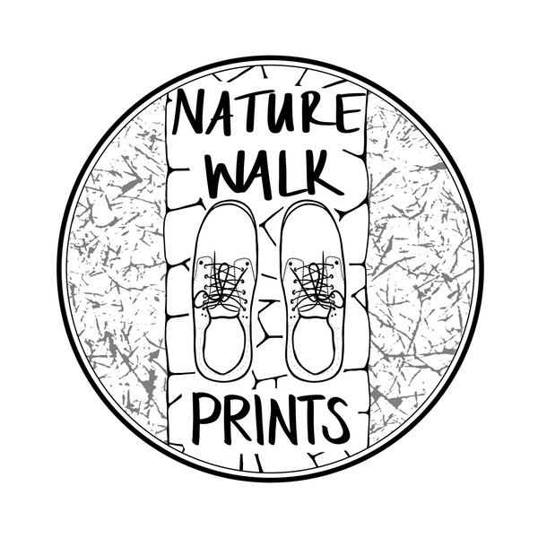 Nature Walk Prints